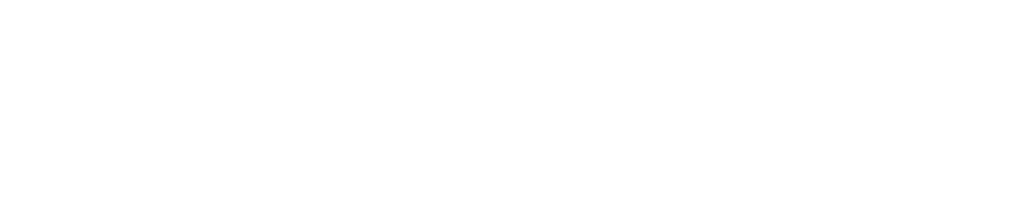 DE Kofinanziert von der Europäischen Logo